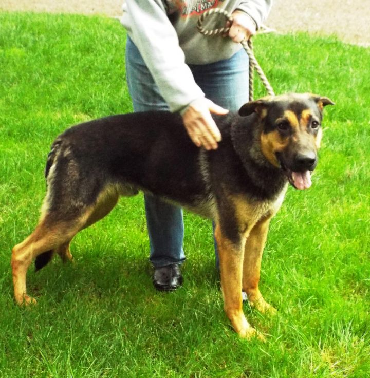 Rocky--ADOPTED!! 3