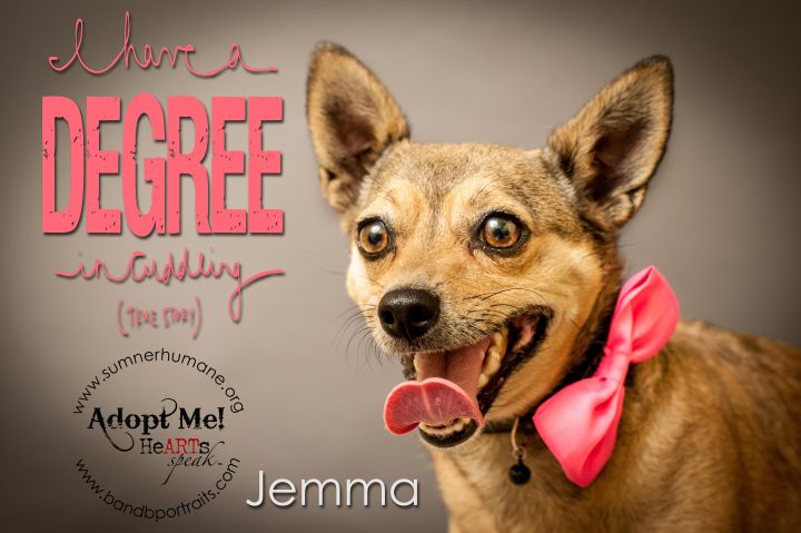 Jemma~Adopted!! 1