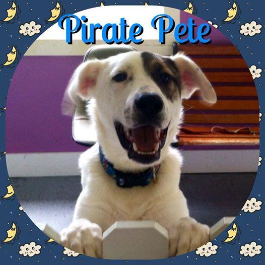 Pirate Pete 1