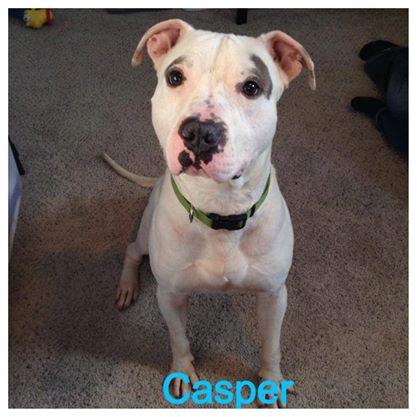 Casper detail page