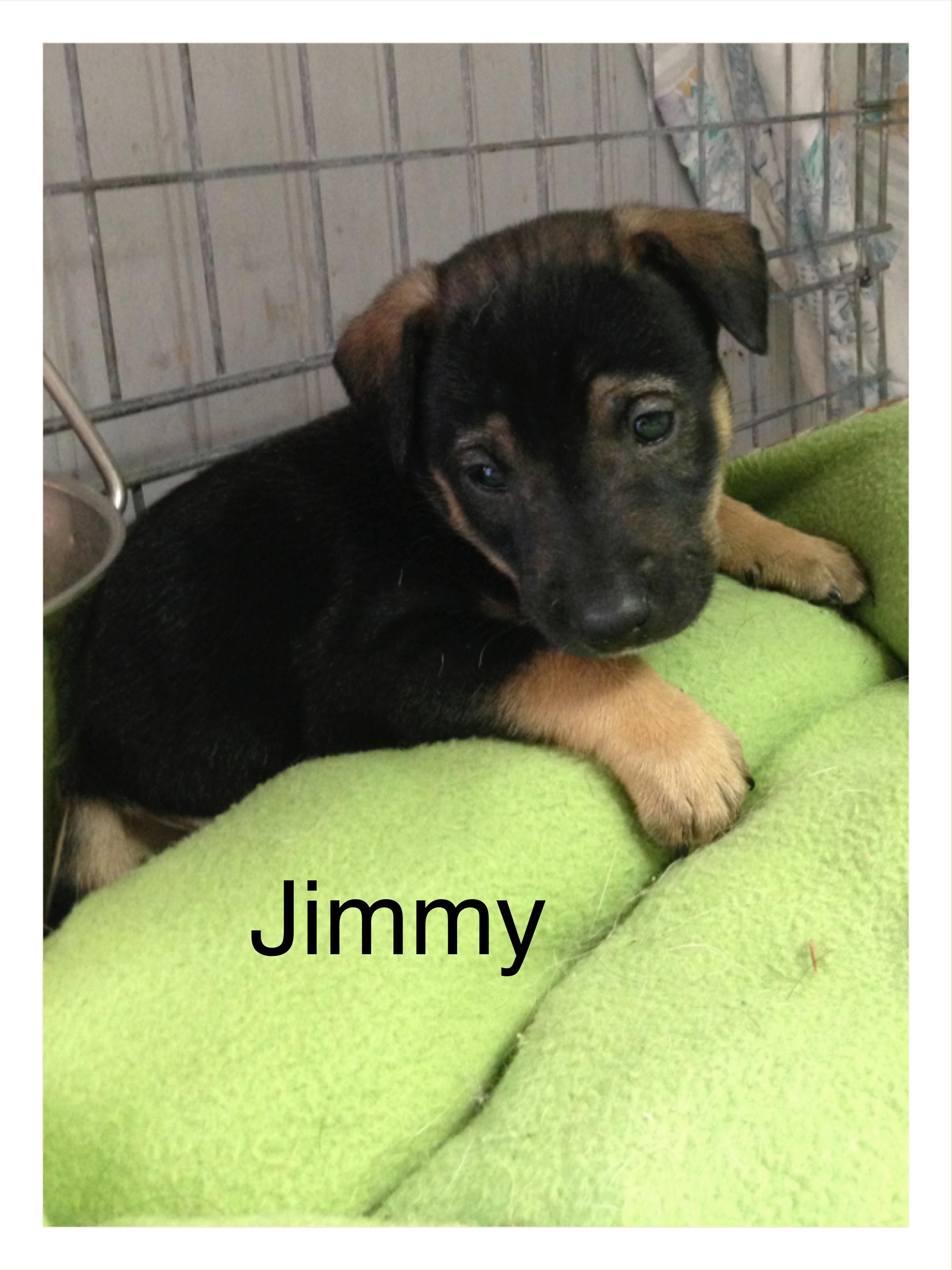 Jimmy detail page