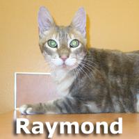 Raymond