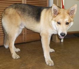Russell-Adopted!! 1