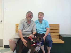 Fred - Adopted!