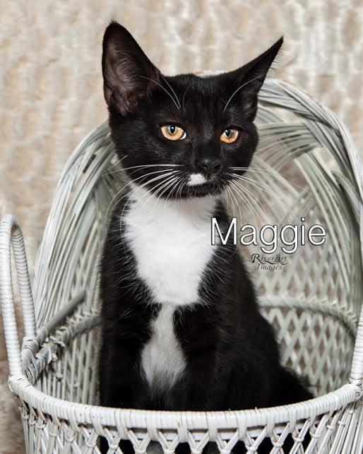 Maggie 1