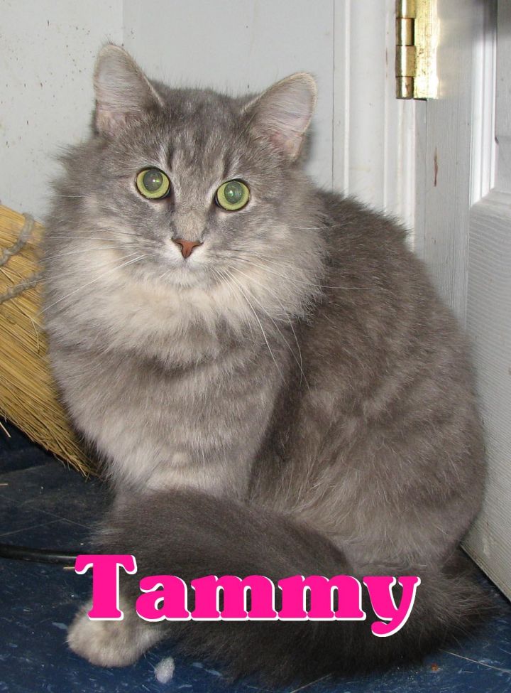 #3758 Tammy 2