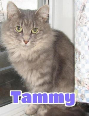 #3758 Tammy