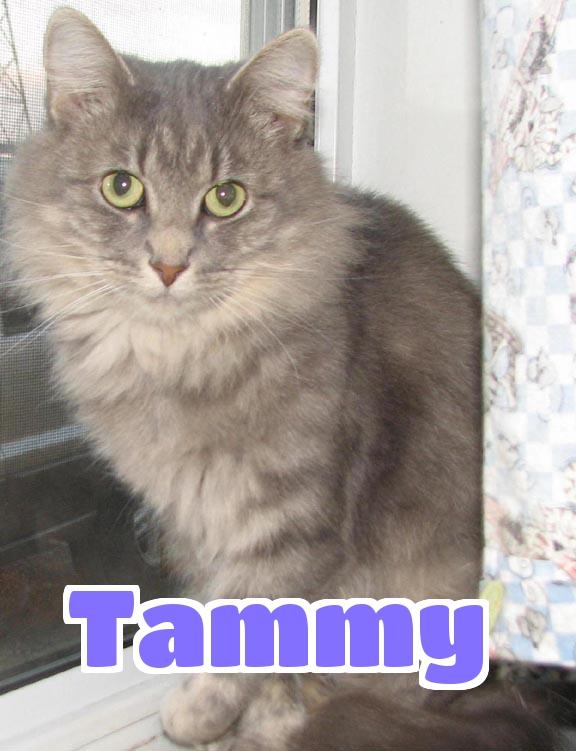 #3758 Tammy 1
