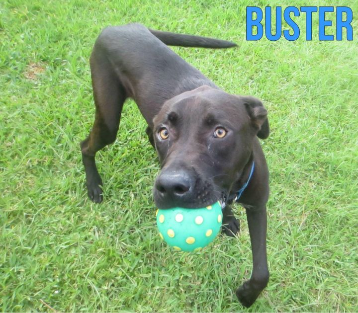 Buster 3