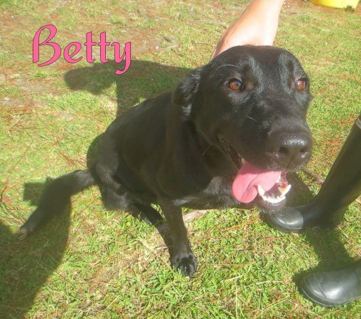 Betty 2