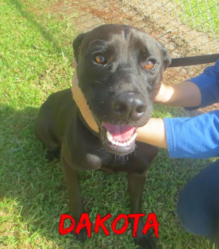 Dakota 1