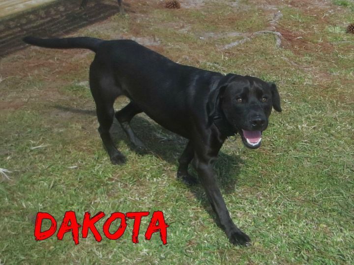 Dakota 2