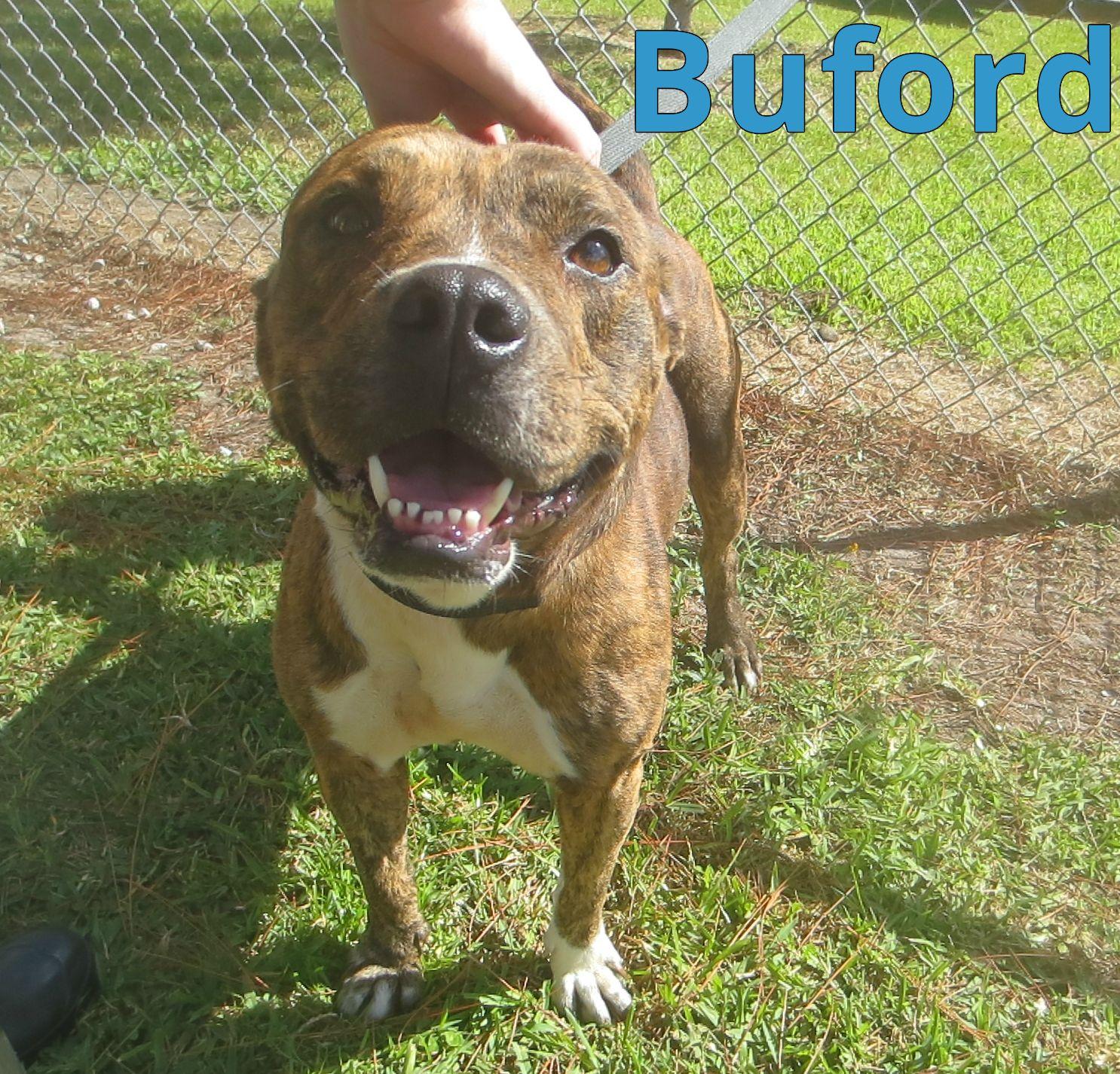 Buford detail page