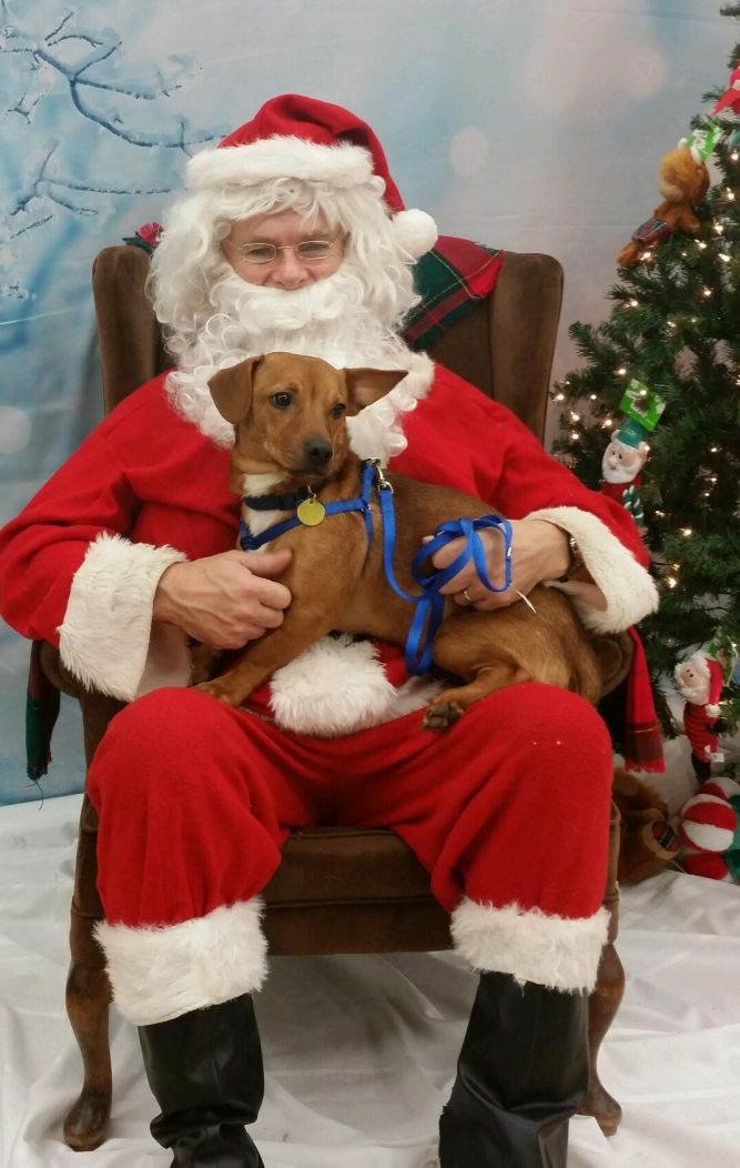 Rusty - ADOPTED!!