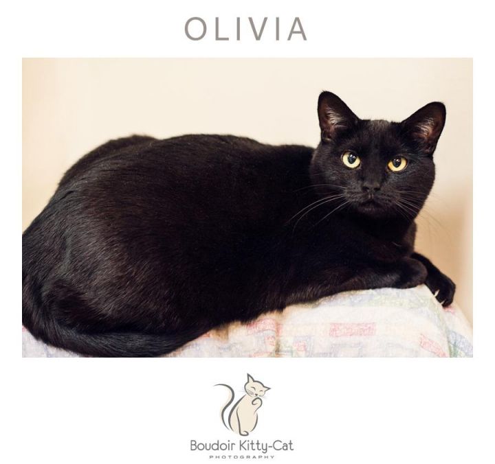 Olivia 3