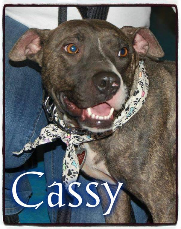 Cassy detail page