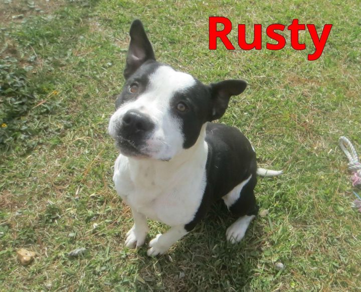 Rusty 3