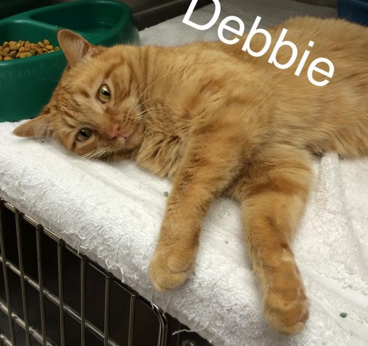 Debbie 1