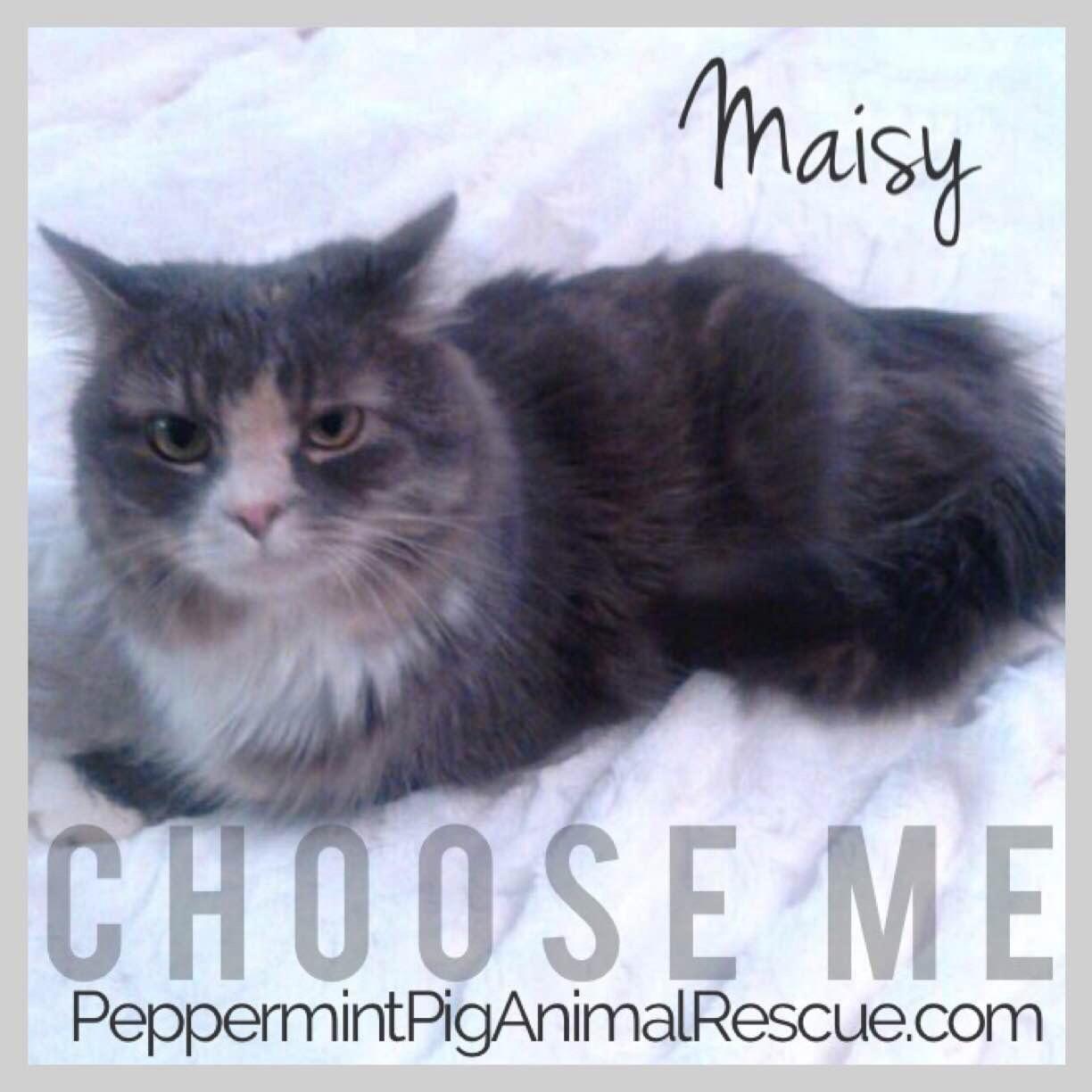 Maisy detail page