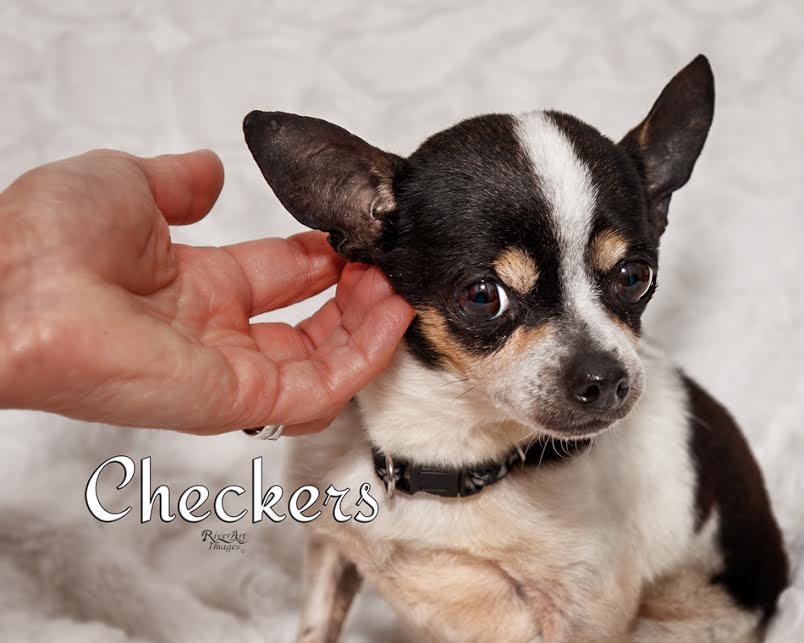 Checkers detail page
