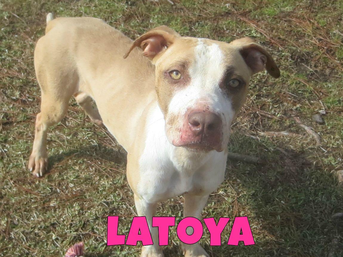 Latoya detail page