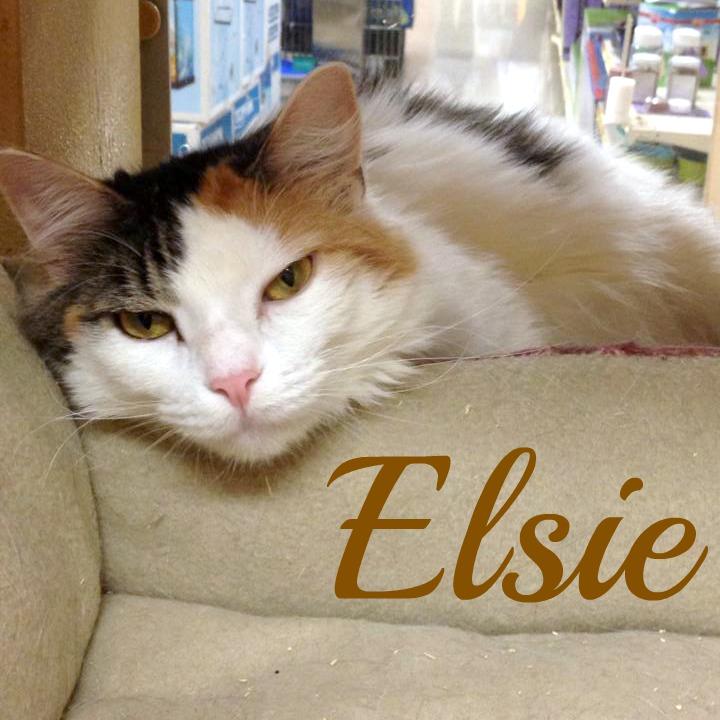 Elsie detail page
