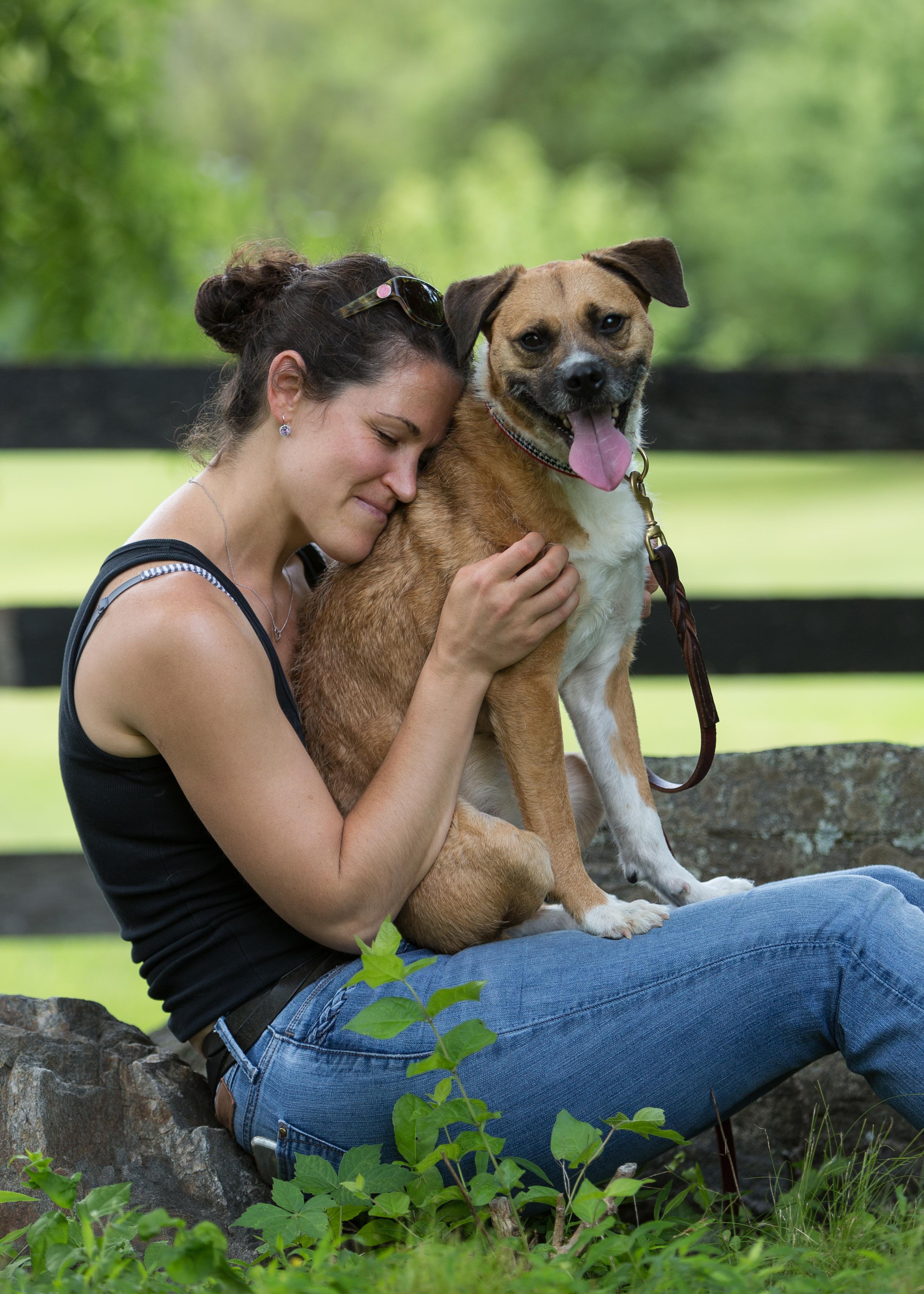 Browney, an adoptable Border Terrier in Ossining, NY, 10562 | Photo Image 3