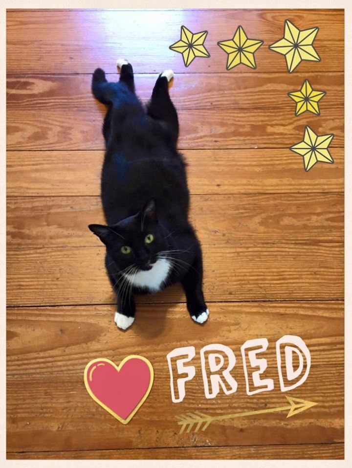 Fred 1
