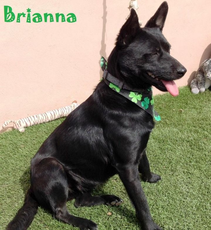 Brianna 1