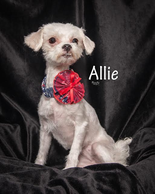 Allie-In Foster Care