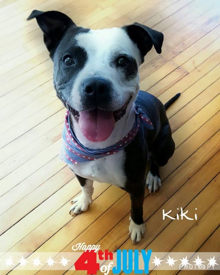 Kiki-In MAINE! 1