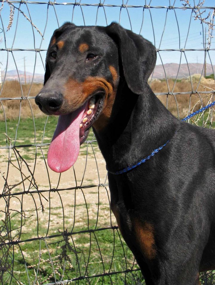 Zeus 1