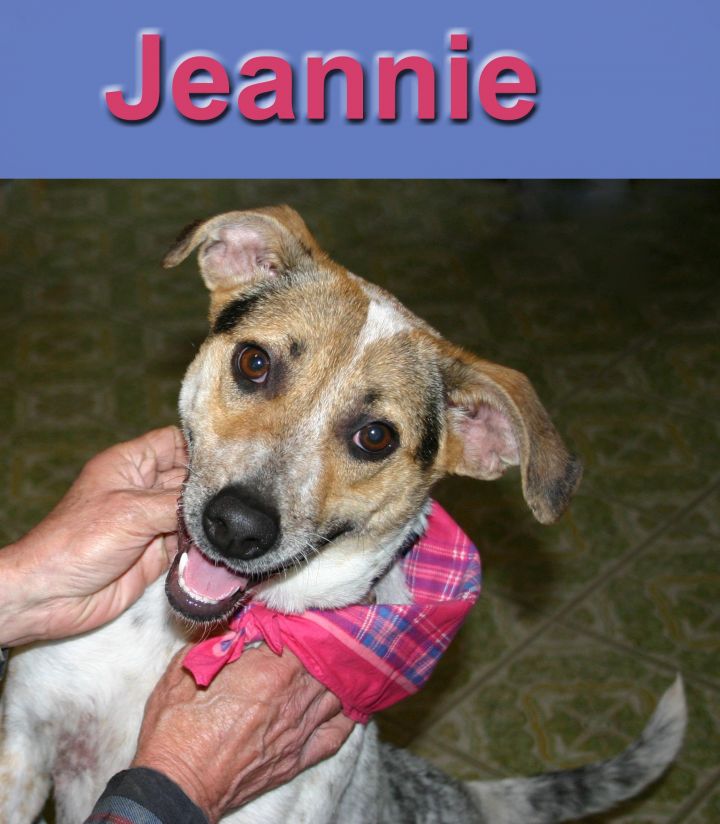 Jeannie 1