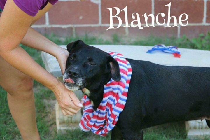 Blanche 5