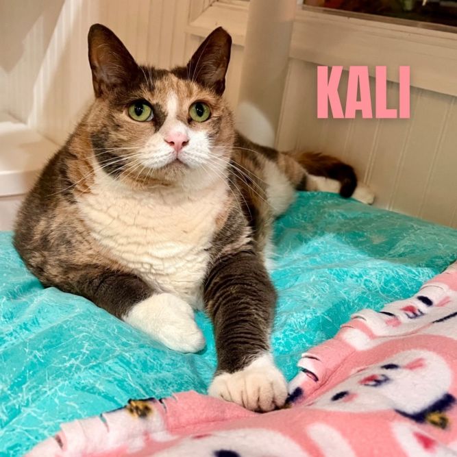 KALI
