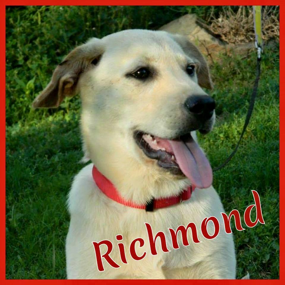 Richmond detail page