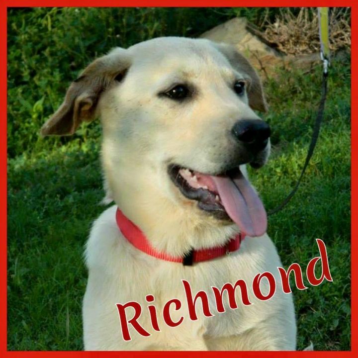 Richmond 1