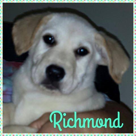 Richmond 2