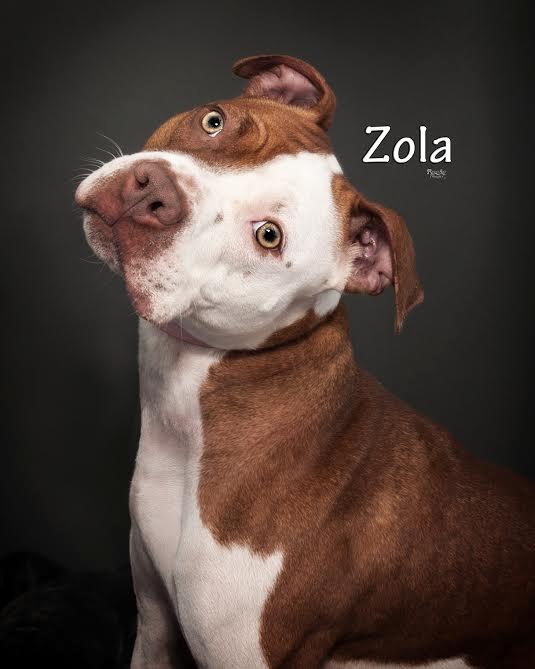 Zola detail page