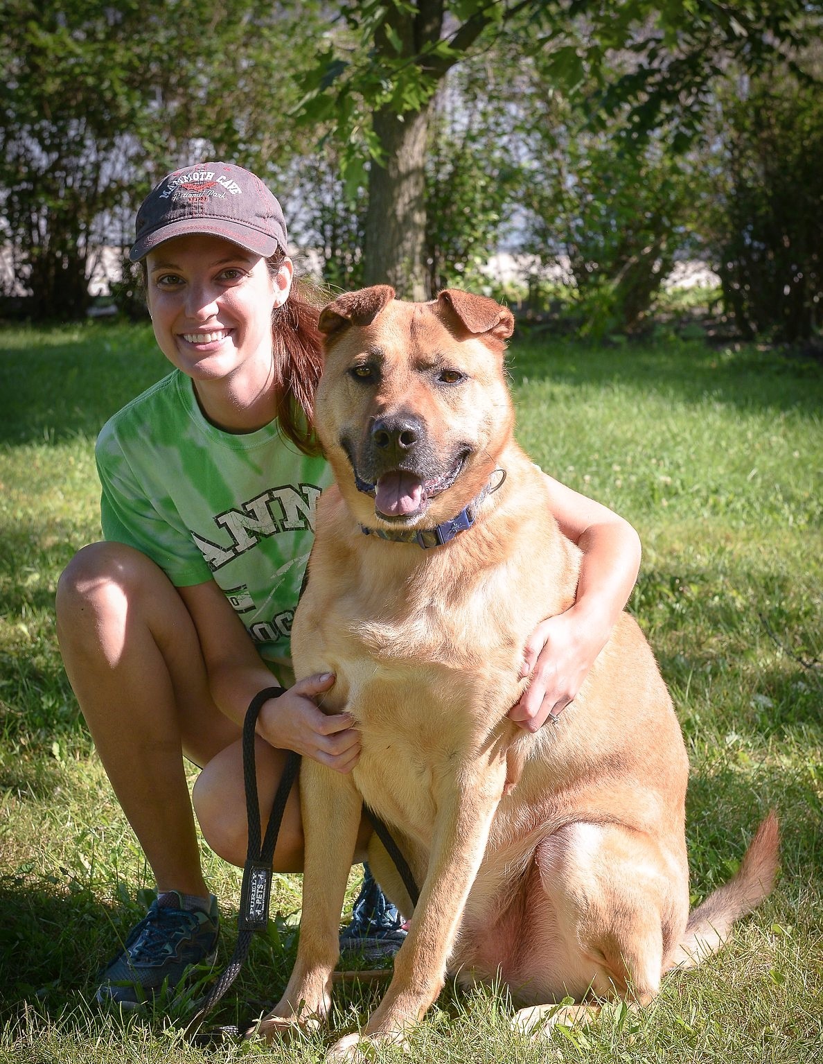 Trumbull, an adoptable Shepherd, Mixed Breed in Macomb, MI, 48042 | Photo Image 3