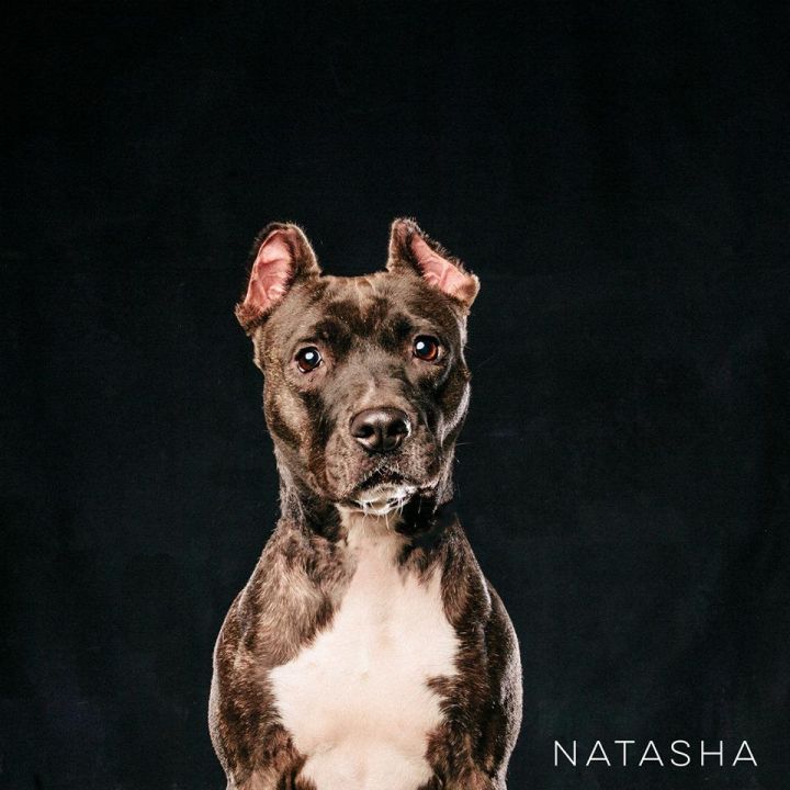 Natasha 2
