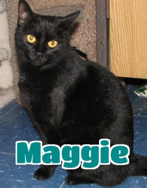 #56 Maggie-Sponsored