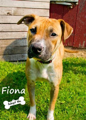 Fiona