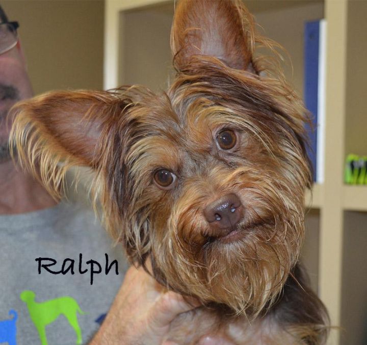 Ralph 1