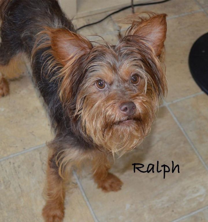 Ralph 2