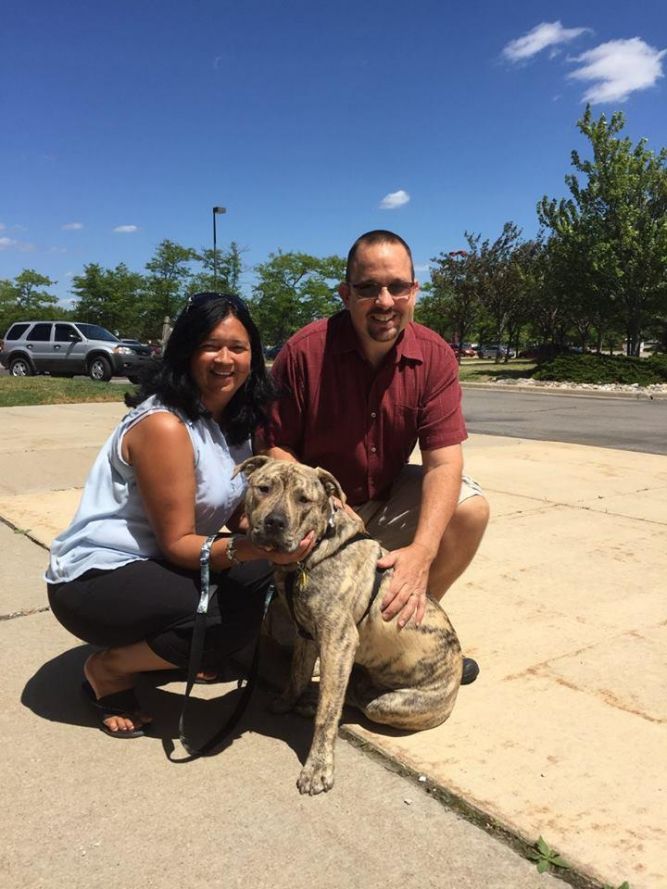 Tyger-Adopted!