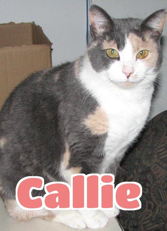 3878 Callie detail page