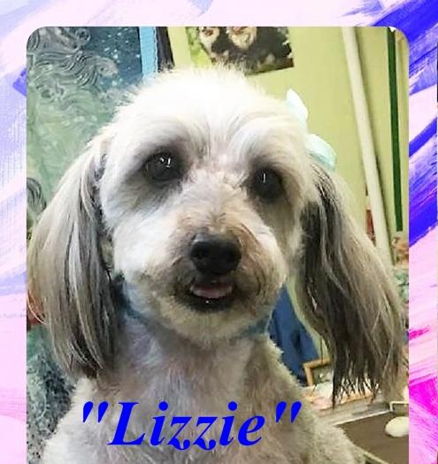 Lucky Lizzie - Special Girl (RIP)
