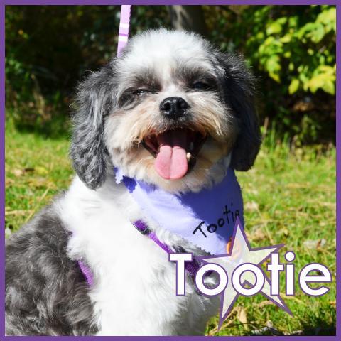 Tootie 1