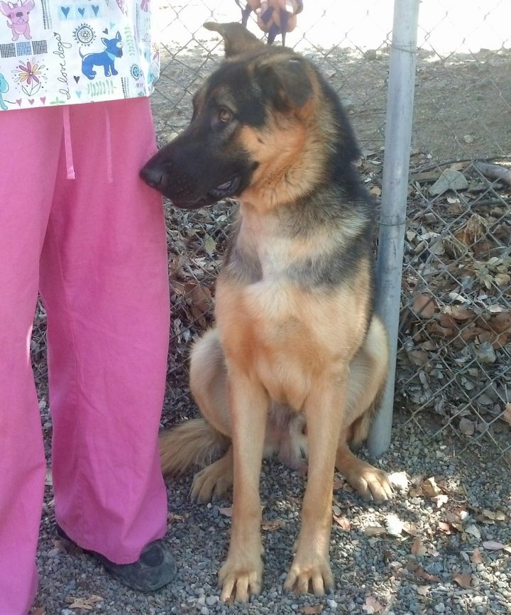 Autry--ADOPTED!! 3